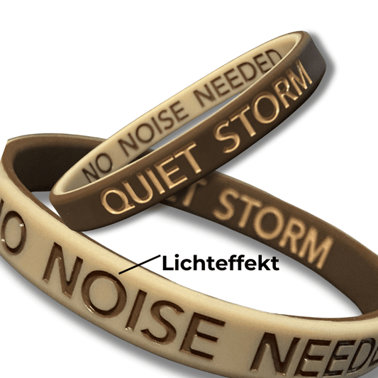 QUIET STORM - NO NOISE NEEDED