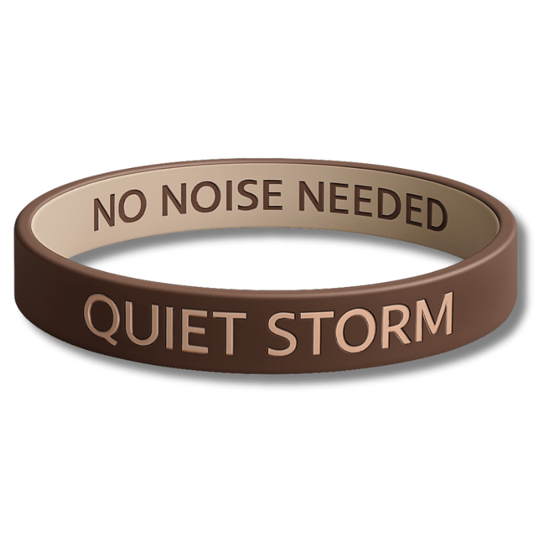 QUIET STORM - NO NOISE NEEDED