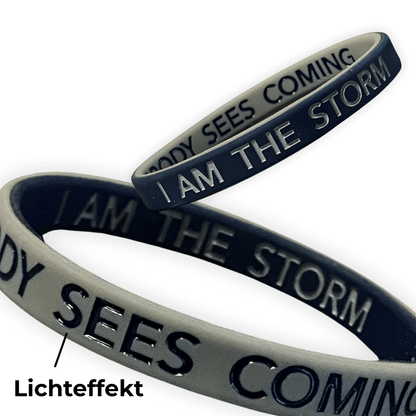 I AM THE STORM - NOBODY SEES COMING